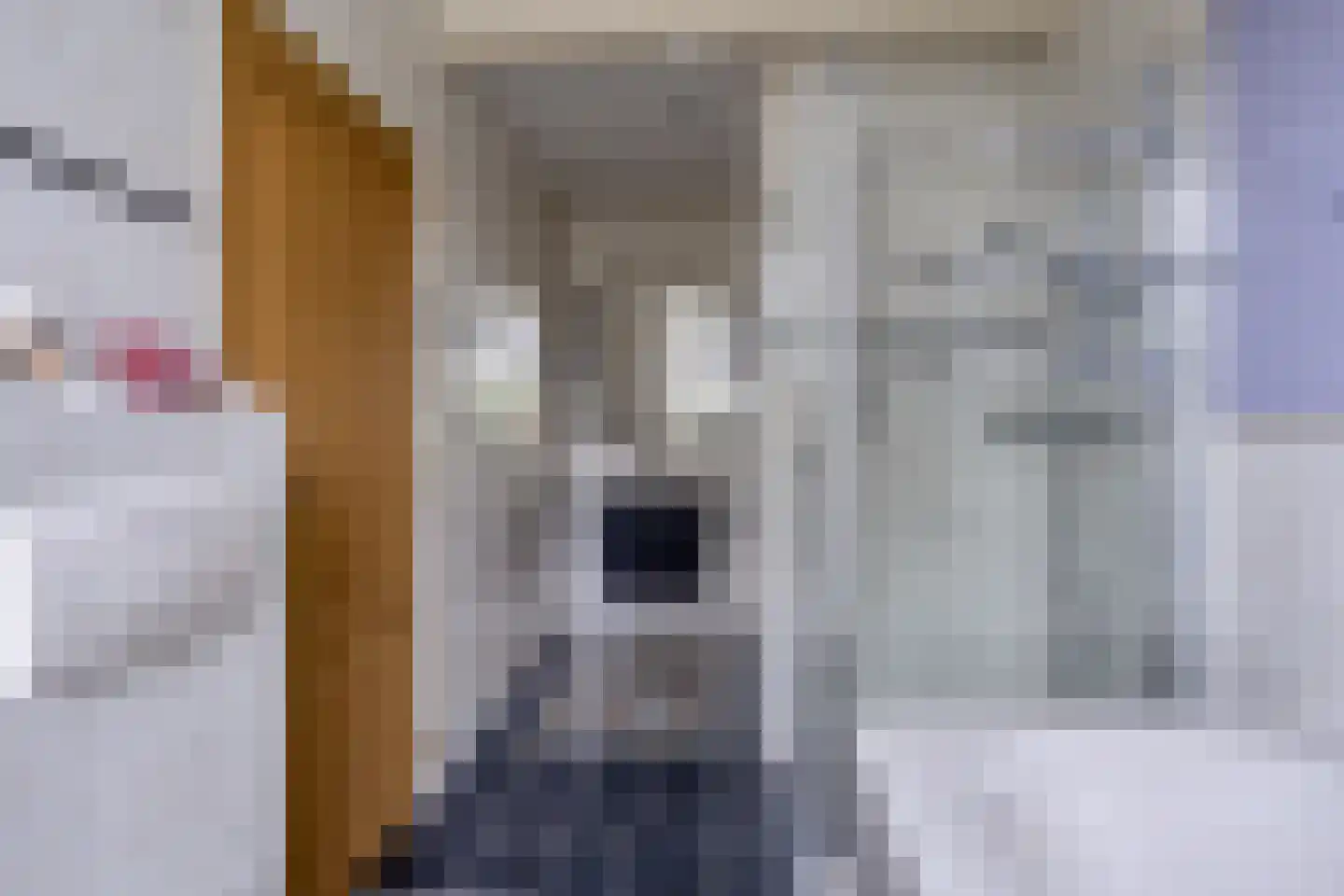 Hoofdstraat 227 Beerta thumbnail 33