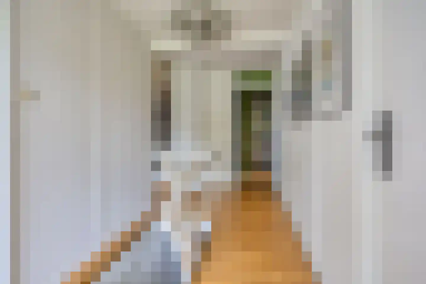 Hoofdstraat 227 Beerta thumbnail 38