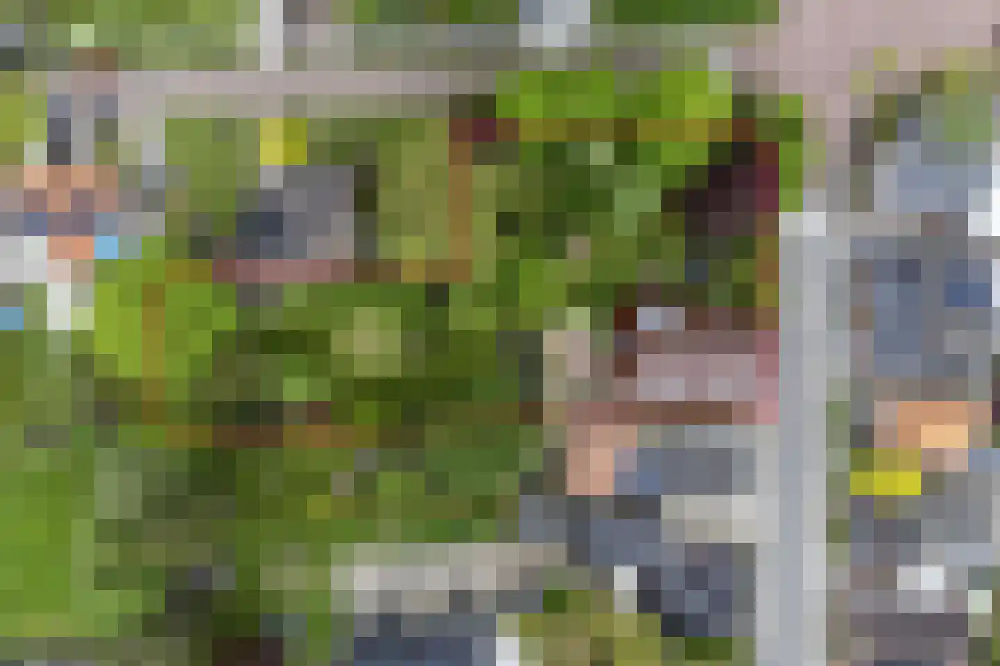 Hoofdstraat 227 Beerta thumbnail 4