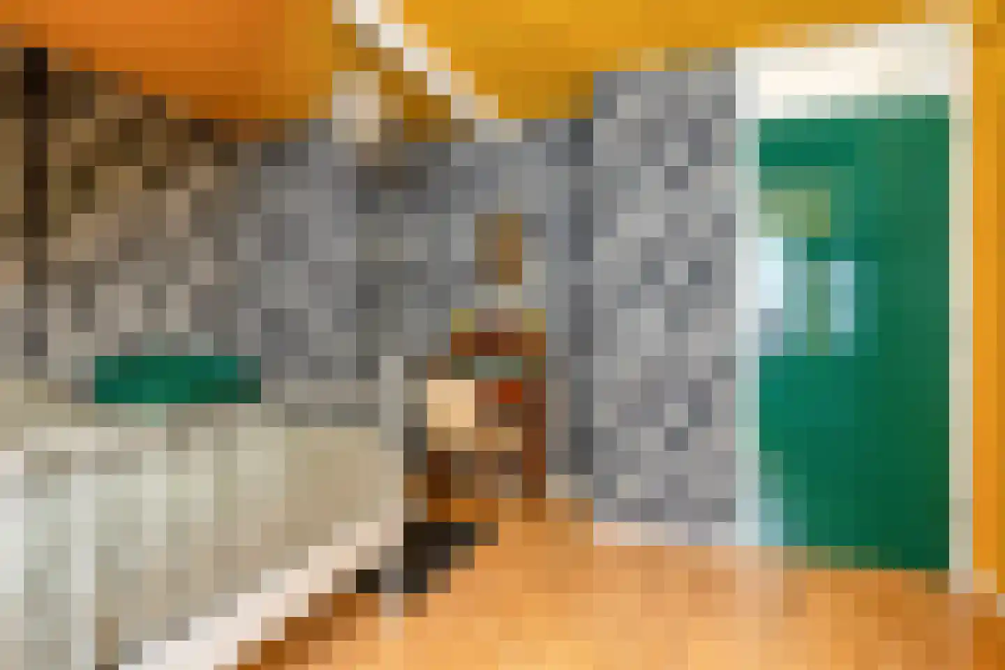 Hoofdstraat 227 Beerta thumbnail 41