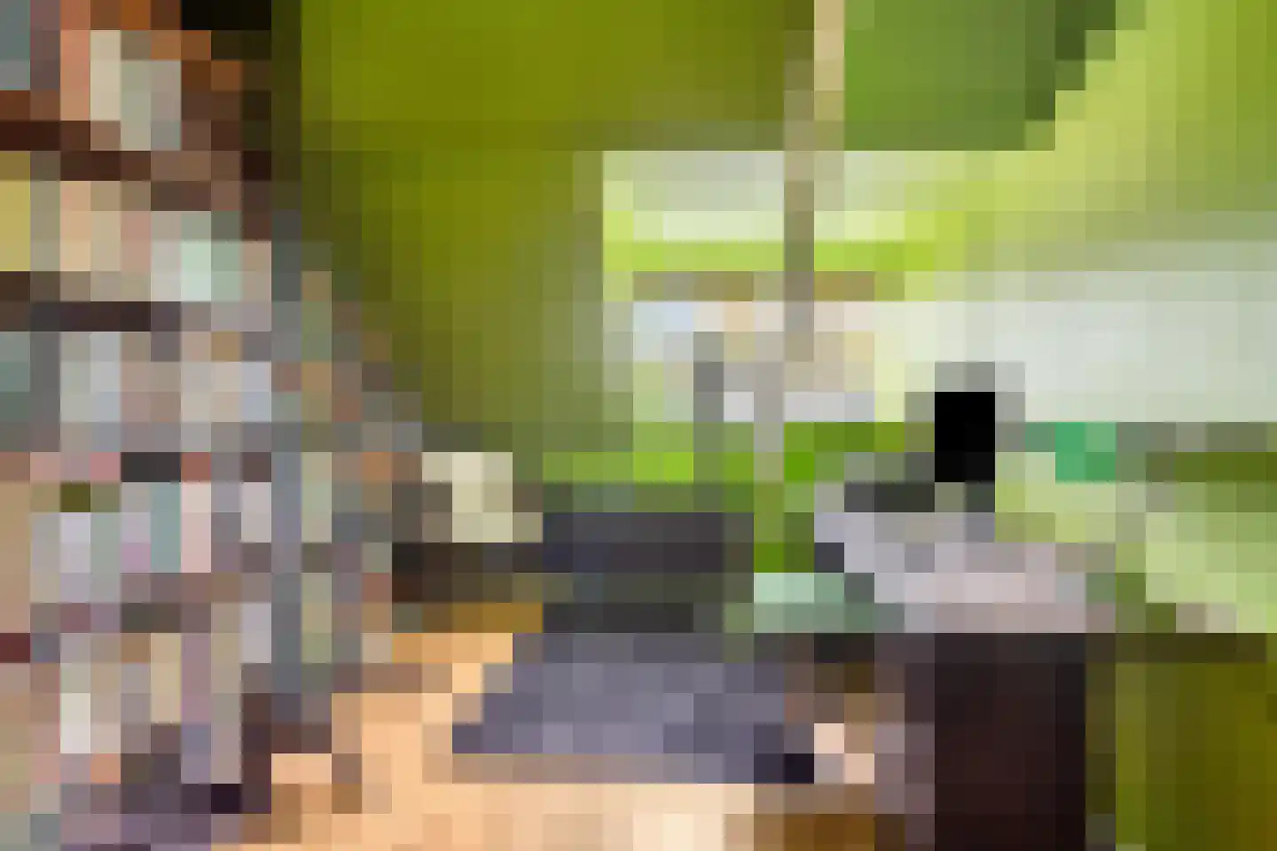 Hoofdstraat 227 Beerta thumbnail 44