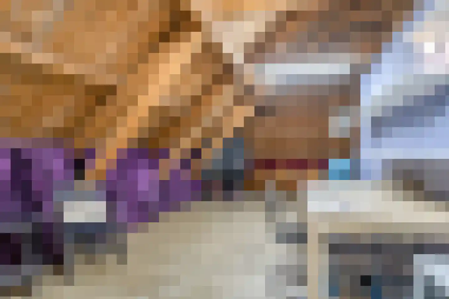 Hoofdstraat 227 Beerta thumbnail 50
