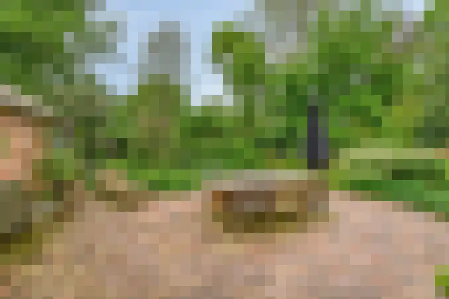 Hoofdstraat 227 Beerta thumbnail 55