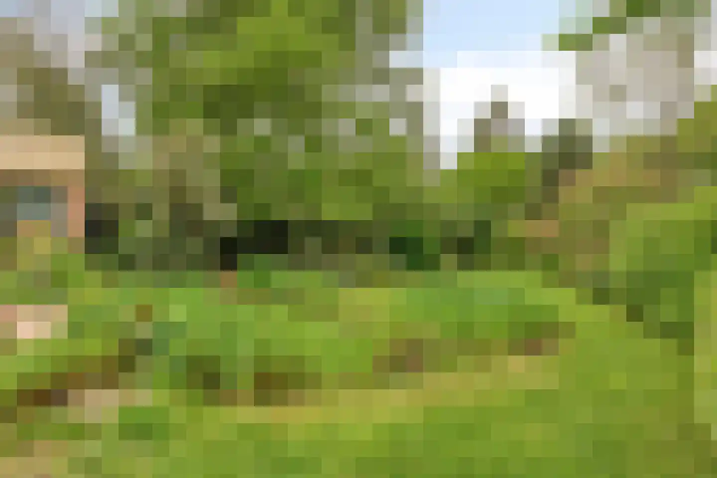 Hoofdstraat 227 Beerta thumbnail 57