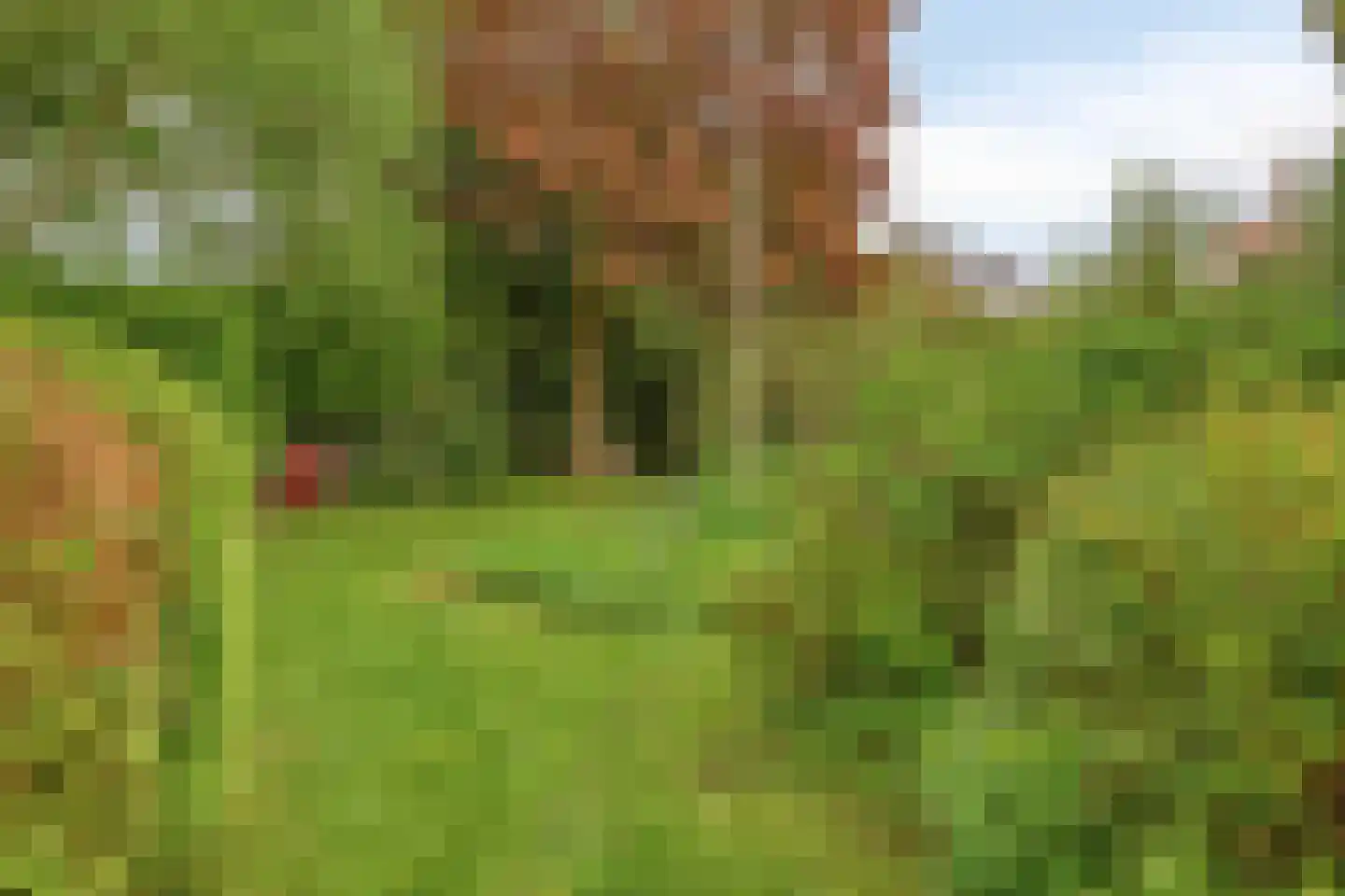 Hoofdstraat 227 Beerta thumbnail 58