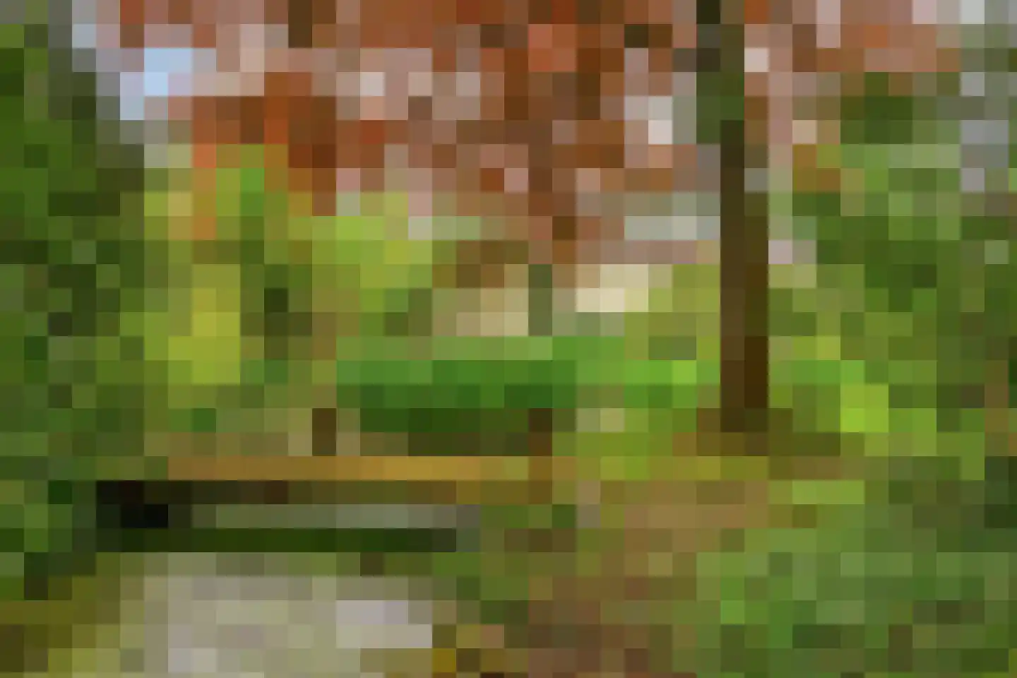Hoofdstraat 227 Beerta thumbnail 63