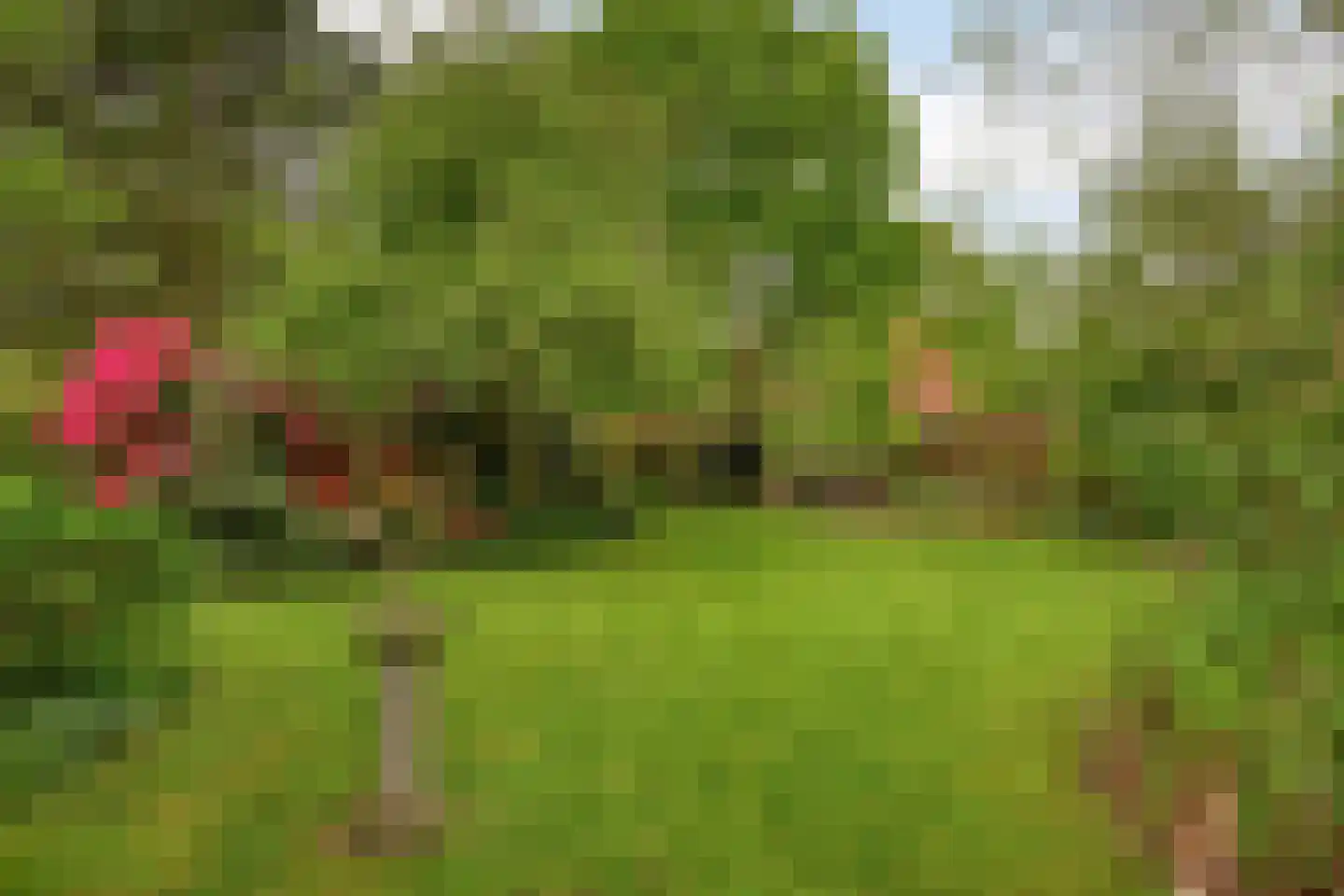 Hoofdstraat 227 Beerta thumbnail 65