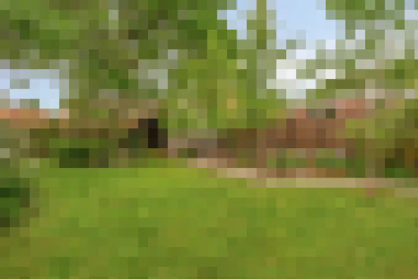 Hoofdstraat 227 Beerta thumbnail 66