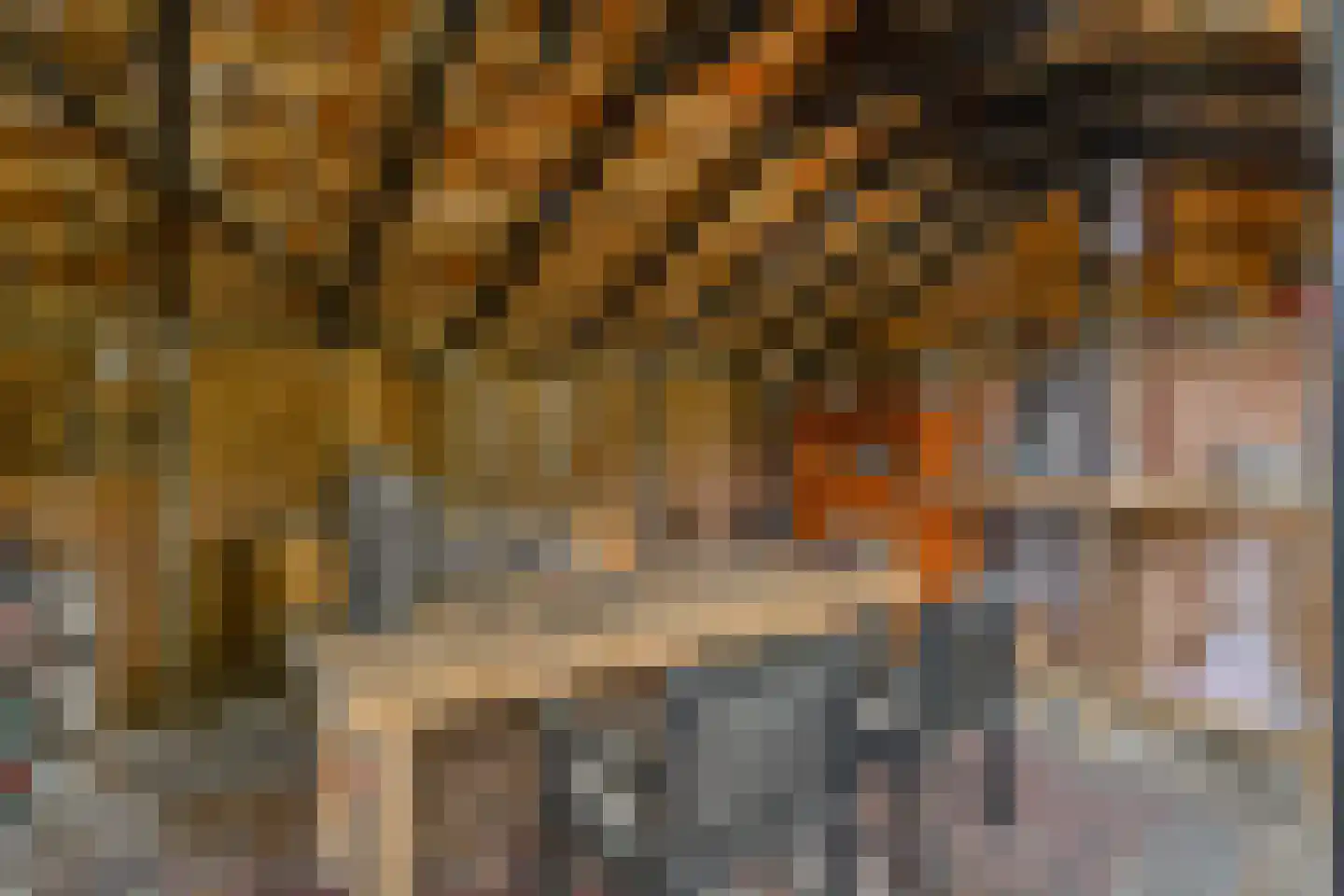 Hoofdstraat 227 Beerta thumbnail 70