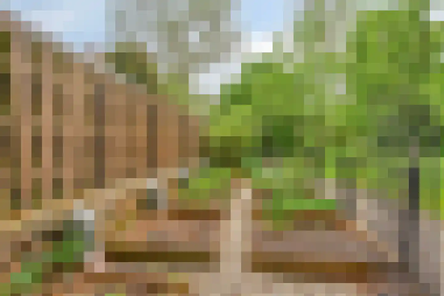 Hoofdstraat 227 Beerta thumbnail 71