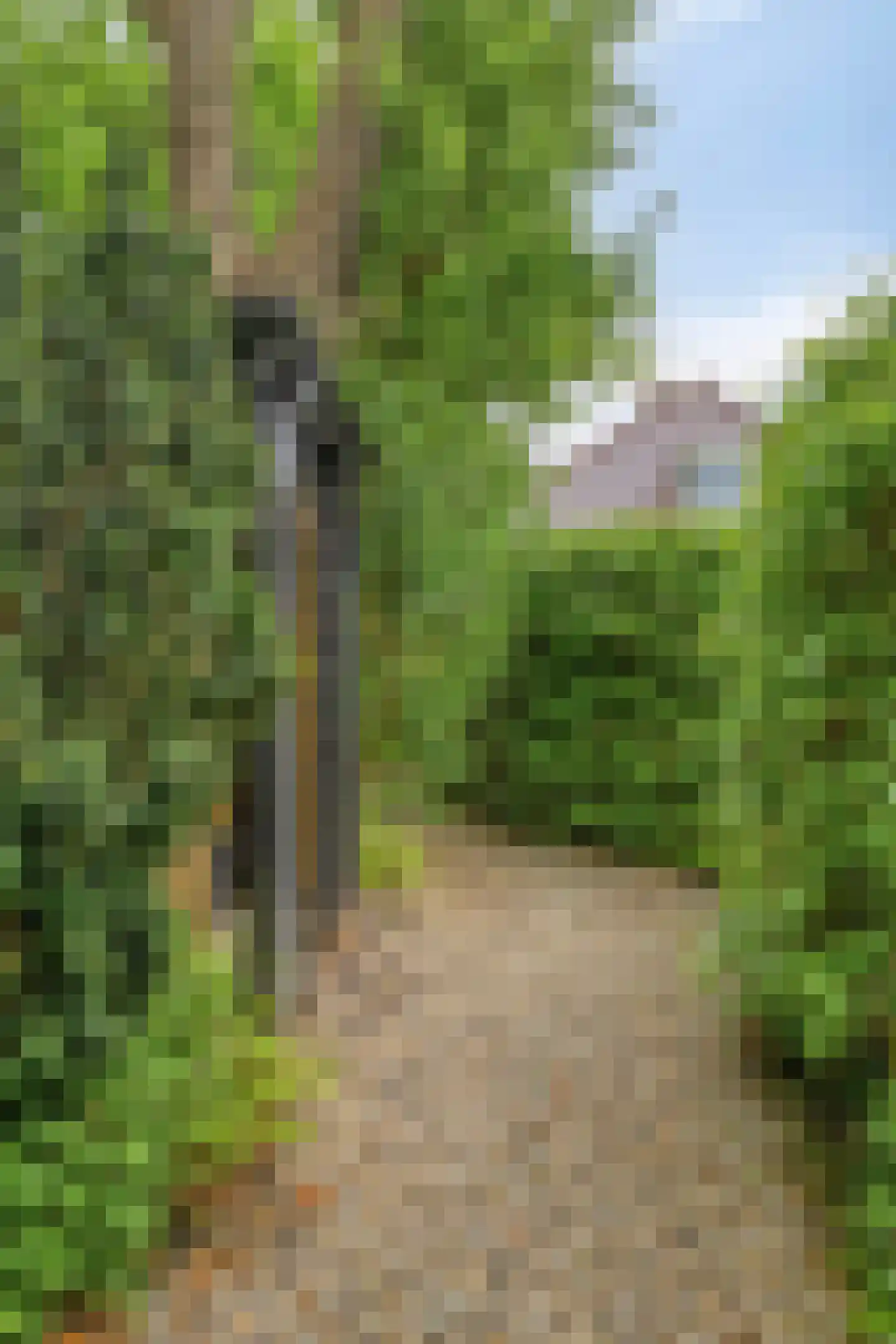 Hoofdstraat 227 Beerta thumbnail 74