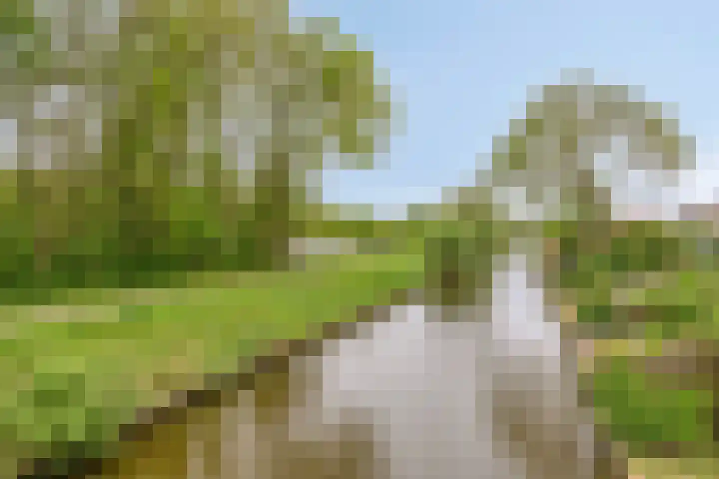 Hoofdstraat 227 Beerta thumbnail 80