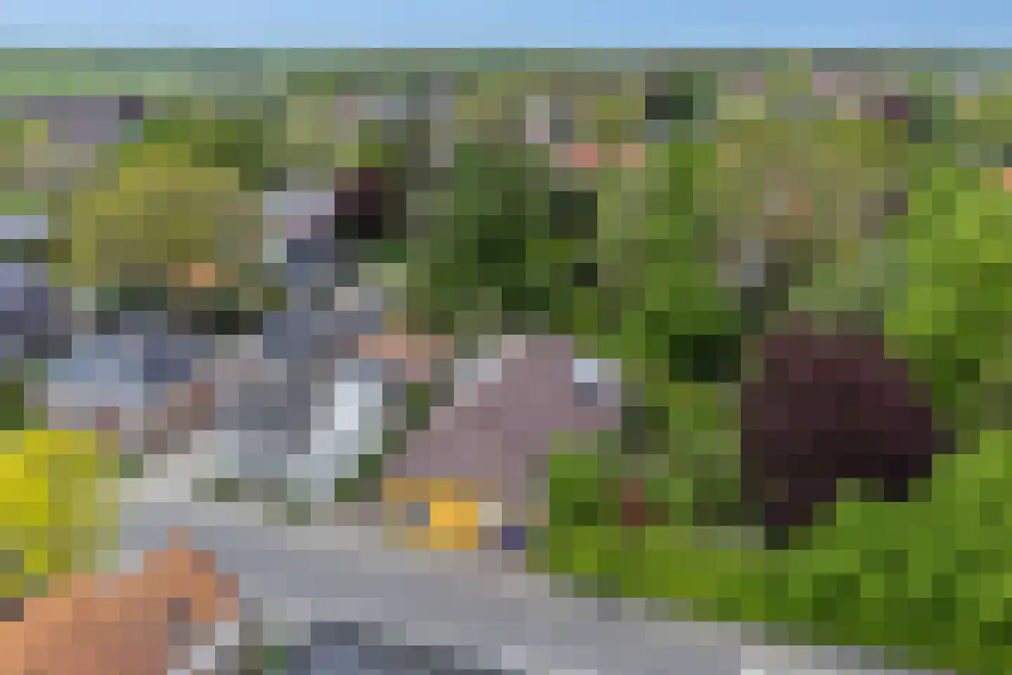 Hoofdstraat 227 Beerta thumbnail 82