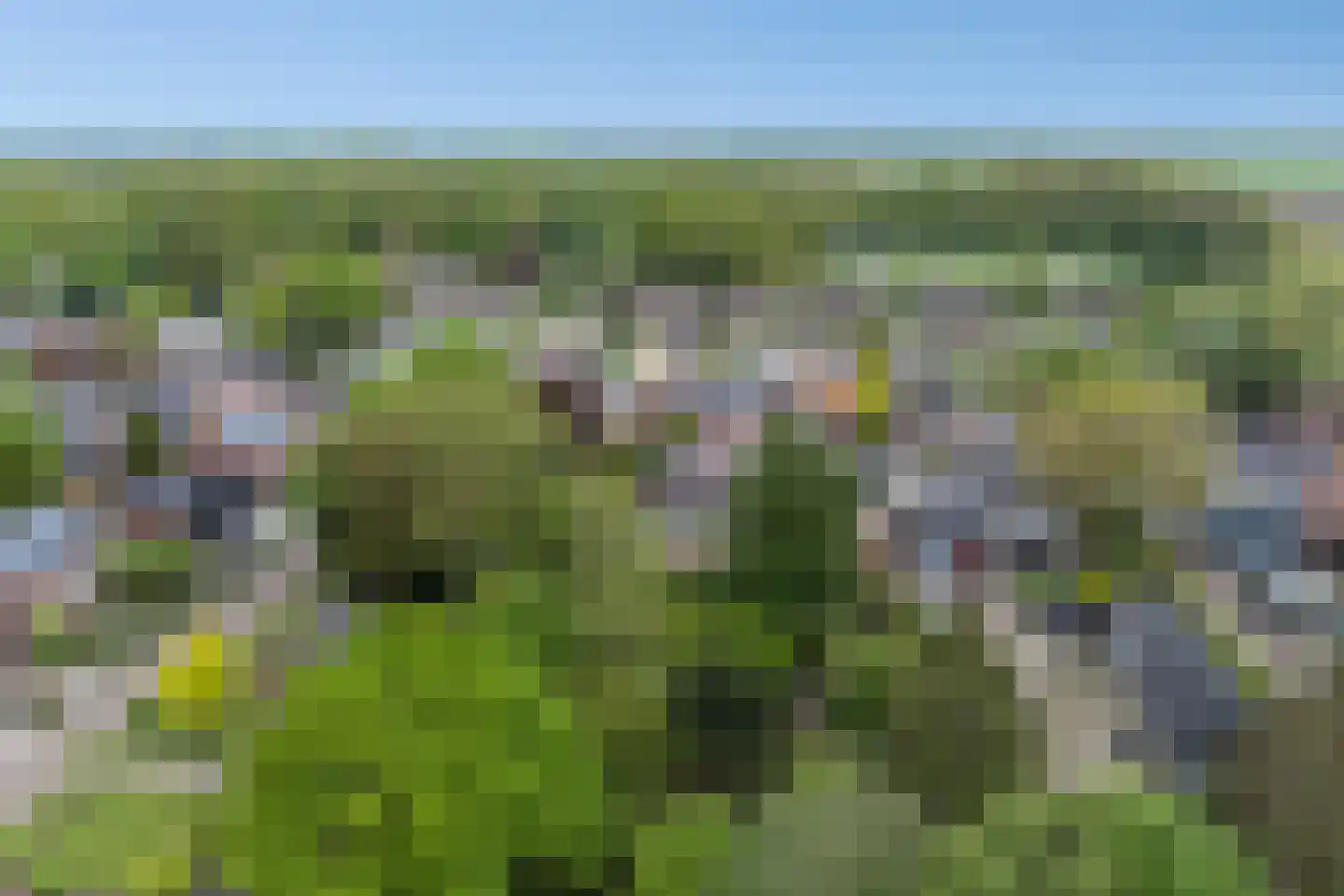 Hoofdstraat 227 Beerta thumbnail 85