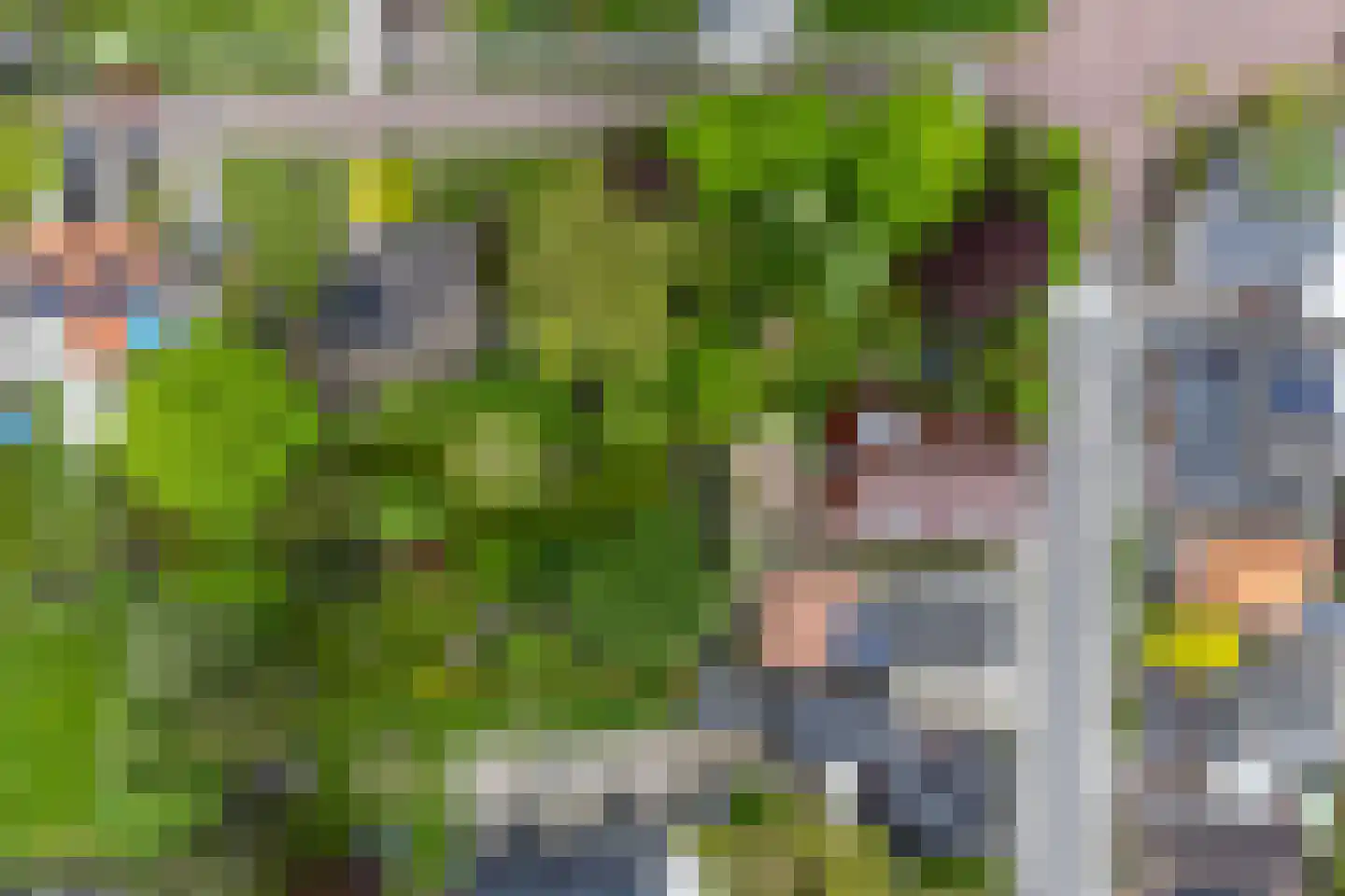 Hoofdstraat 227 Beerta thumbnail 86