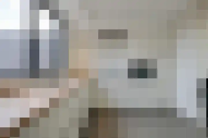 Hoofdstraat 228 v Velp thumbnail 18