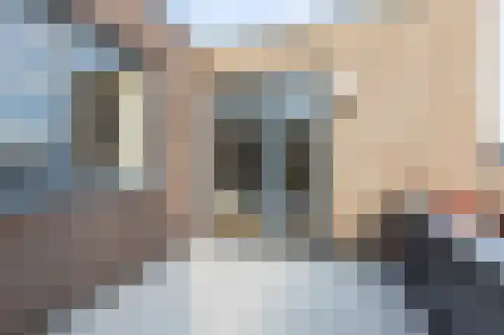 Hoofdstraat 228 v Velp thumbnail 5