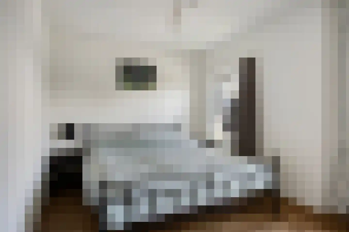 Hoofdstraat 229 Oostwold thumbnail 51