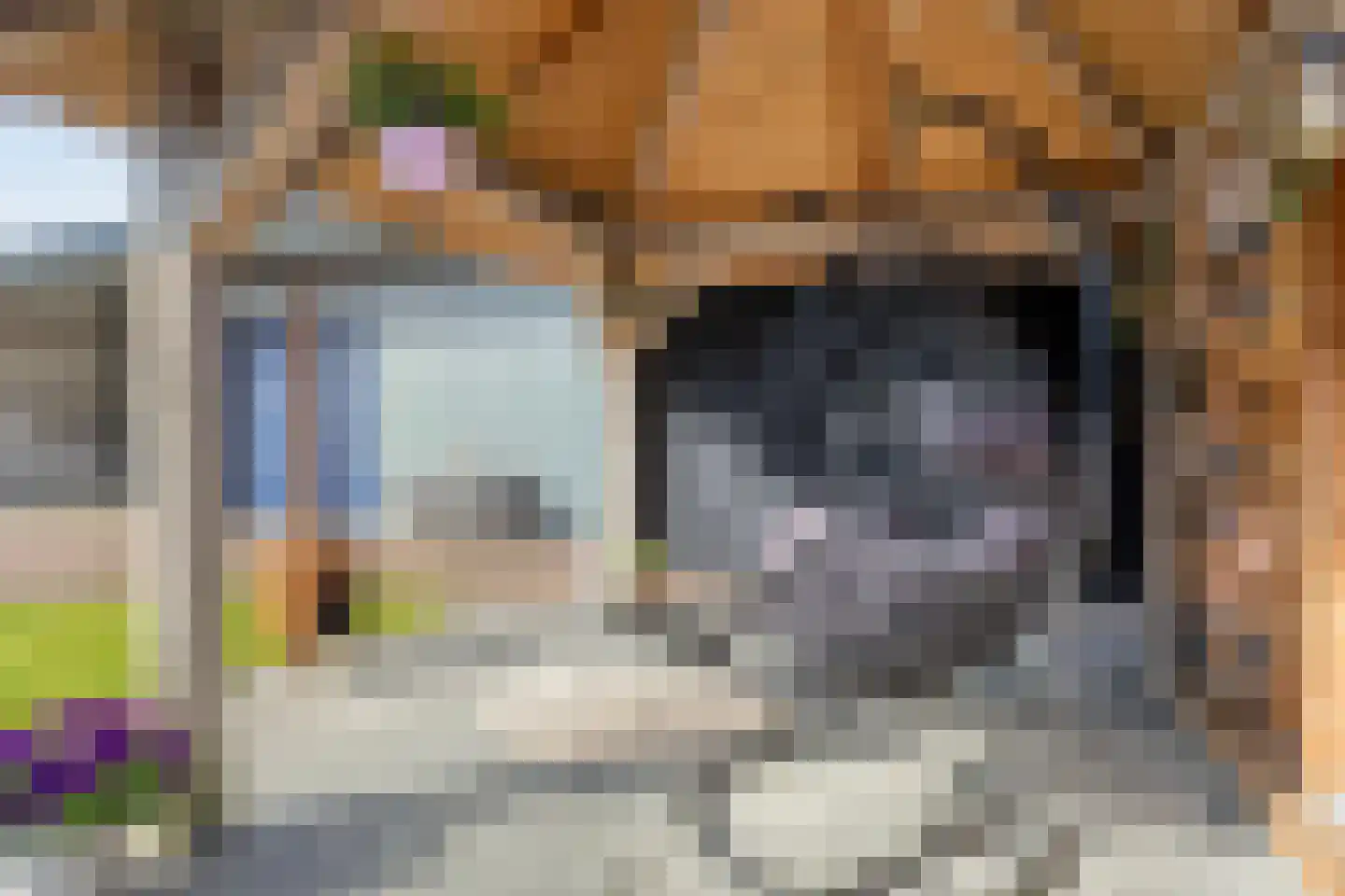 Hoofdstraat 229 Oostwold thumbnail 66