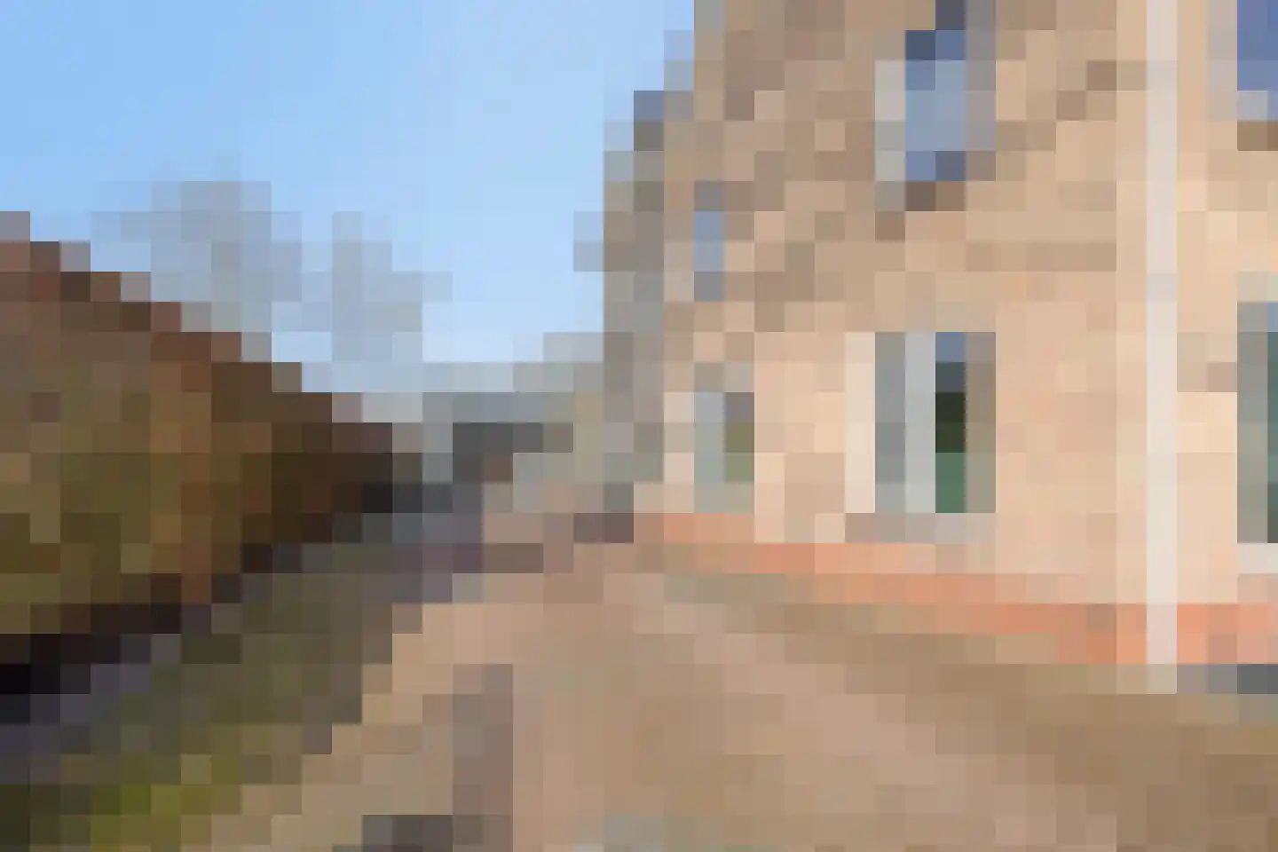 Hoofdstraat 229 Oostwold thumbnail 69
