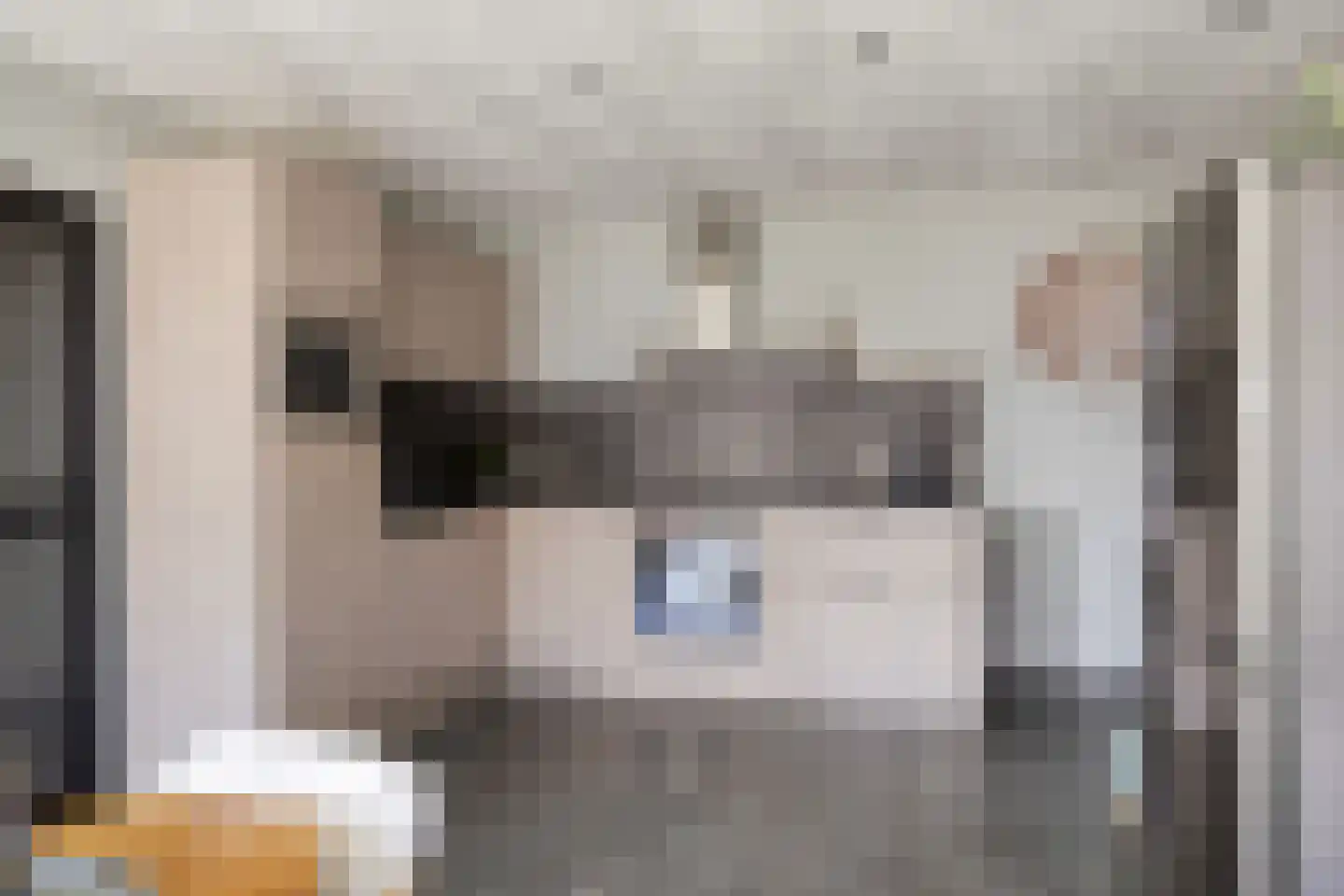 Hoofdstraat 229 Oostwold thumbnail 9