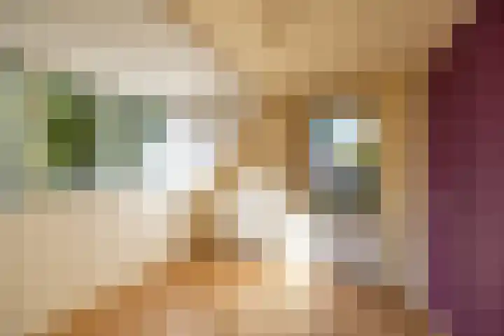 Hoofdstraat 23 a Schoonloo thumbnail 27