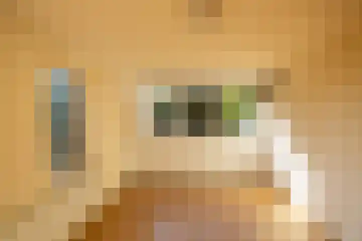 Hoofdstraat 23 a Schoonloo thumbnail 32