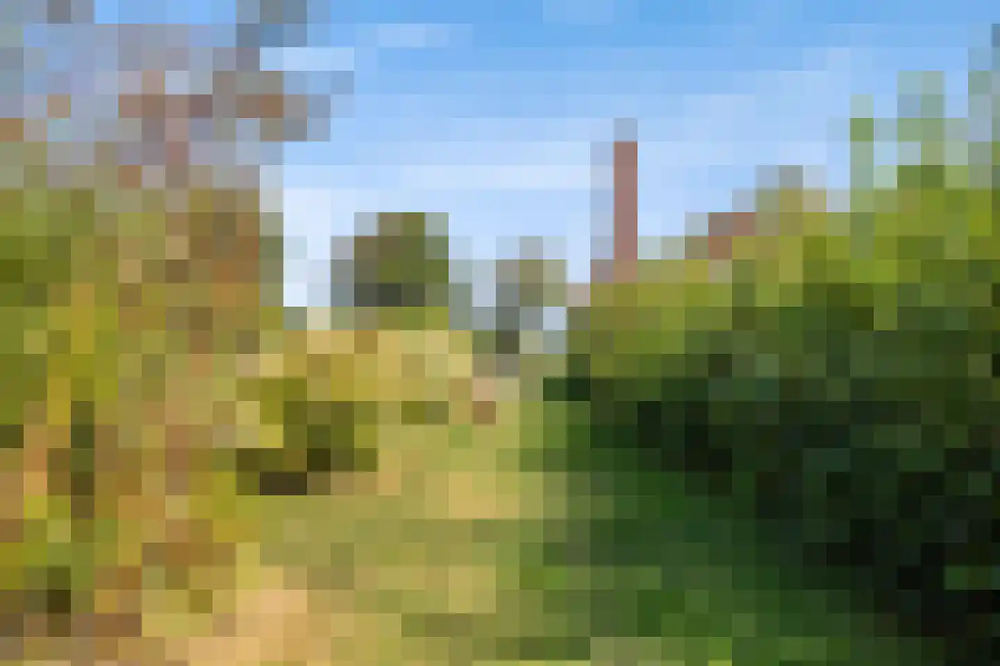 Hoofdstraat 23 Niekerk thumbnail 22
