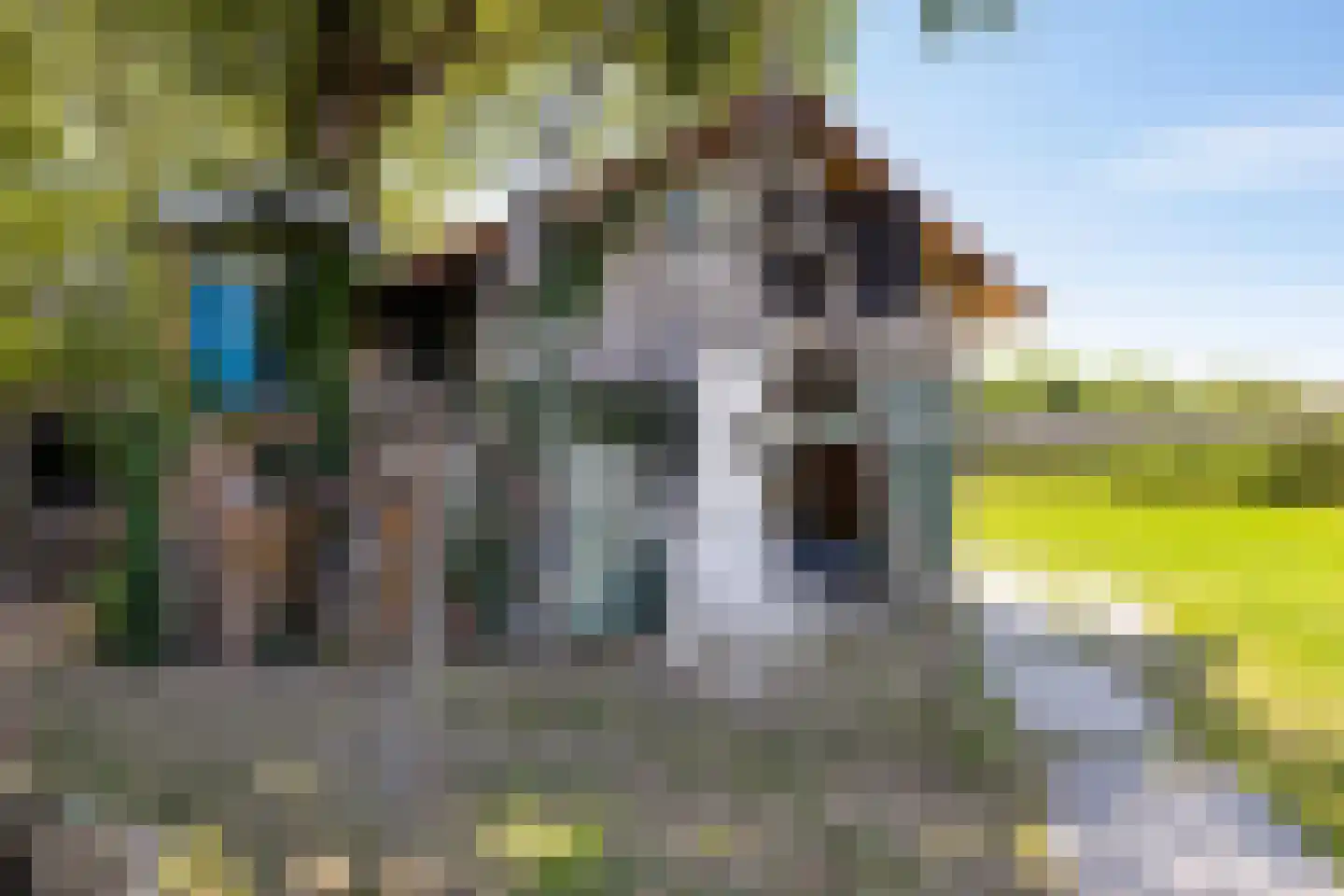 Hoofdstraat 23 Niekerk thumbnail 26