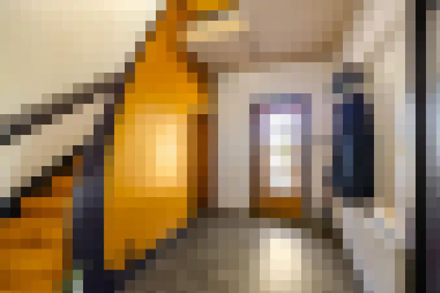 Hoofdstraat 23 Niekerk thumbnail 32
