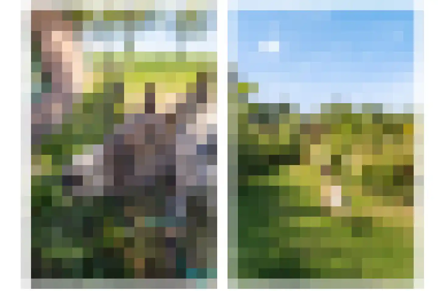Hoofdstraat 23 Niekerk thumbnail 4