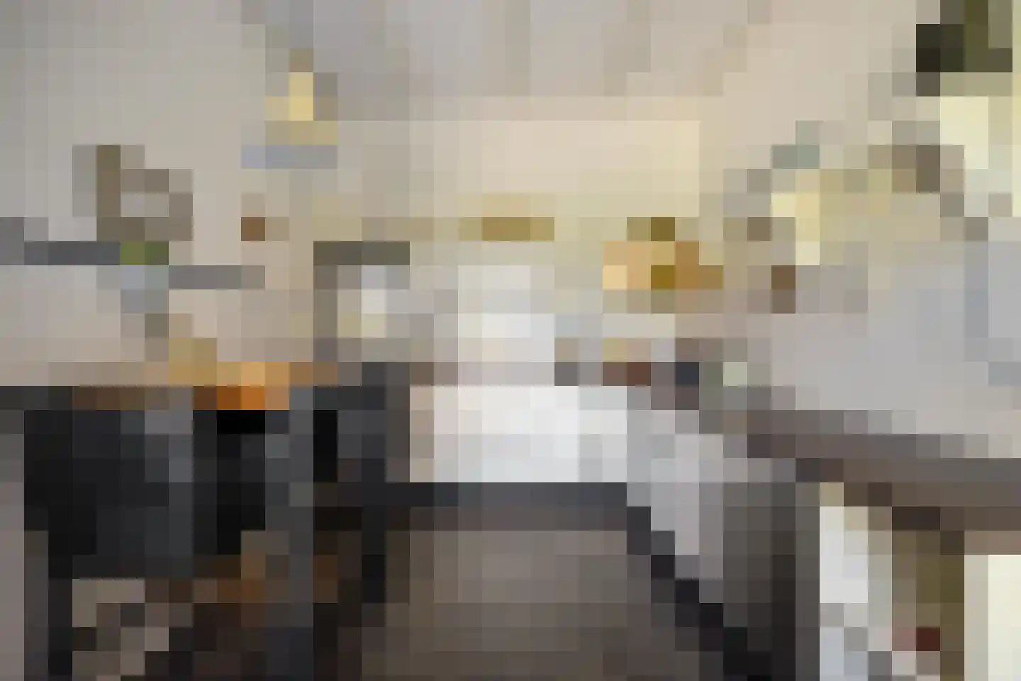 Hoofdstraat 23 Niekerk thumbnail 48
