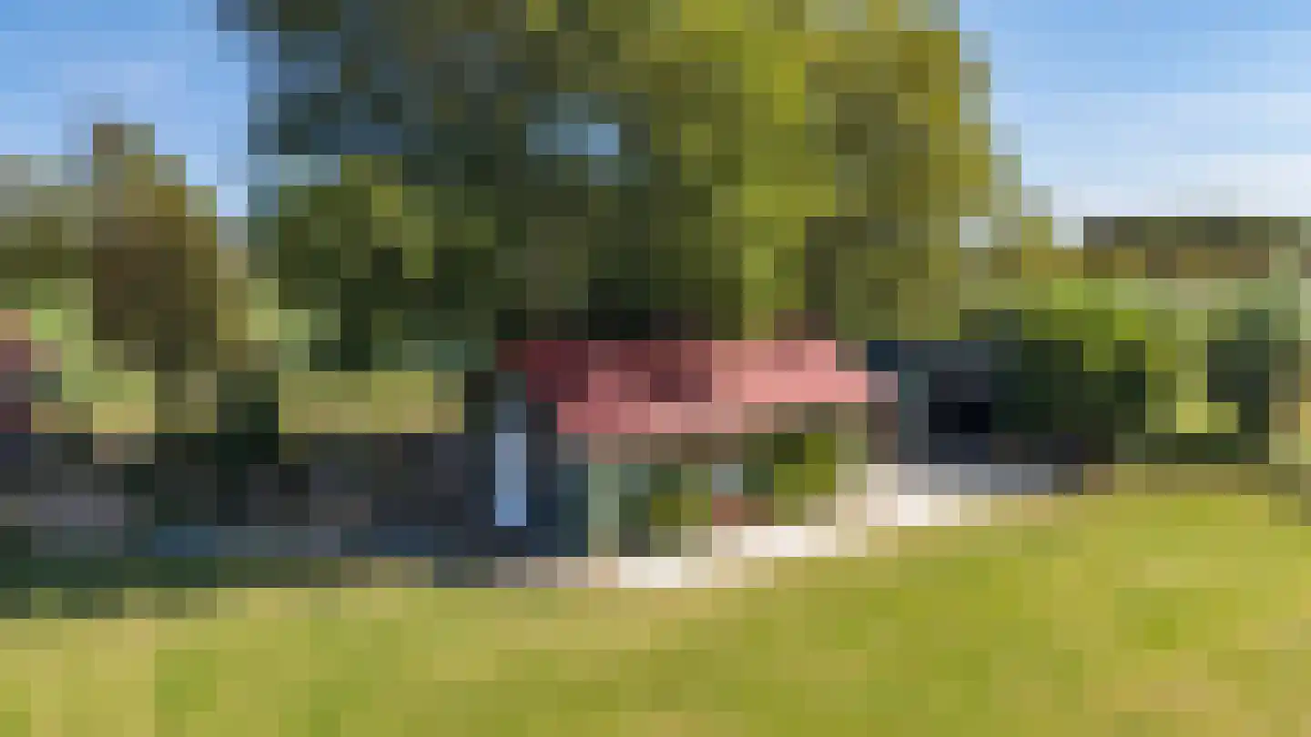 Hoofdstraat 23 Niekerk thumbnail 5
