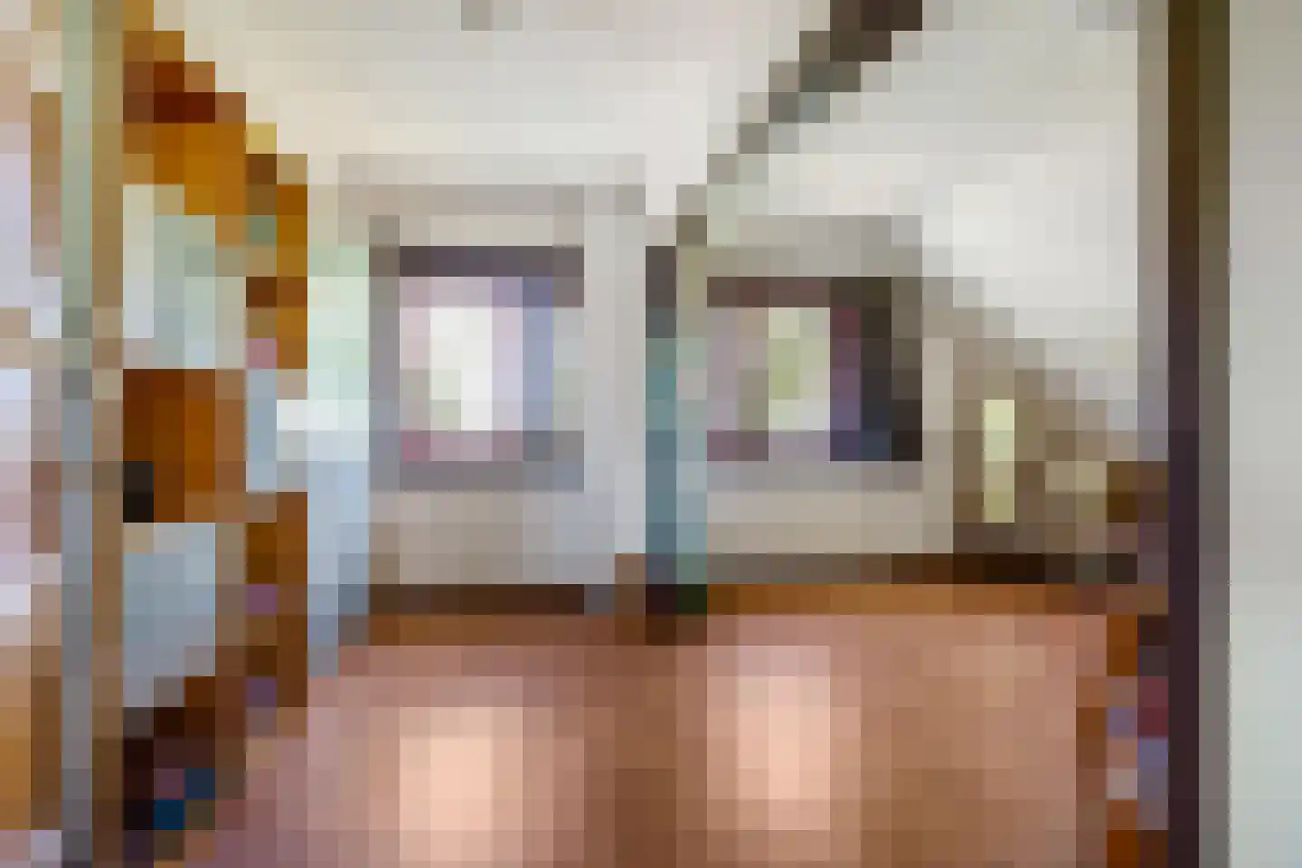 Hoofdstraat 23 Niekerk thumbnail 64