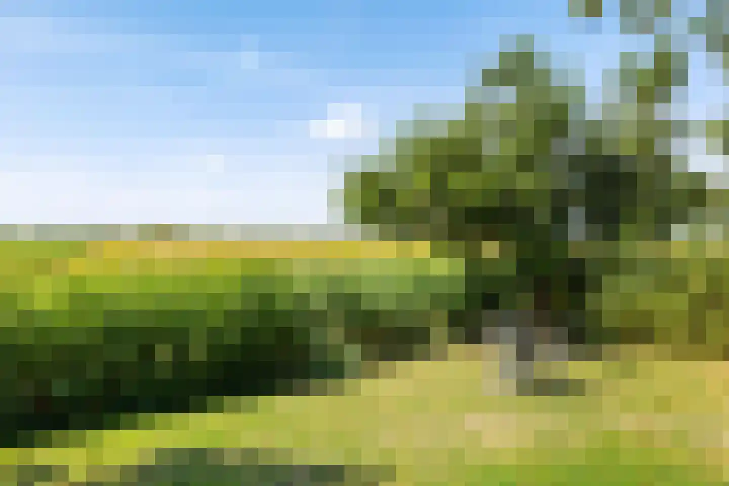 Hoofdstraat 23 Niekerk thumbnail 8