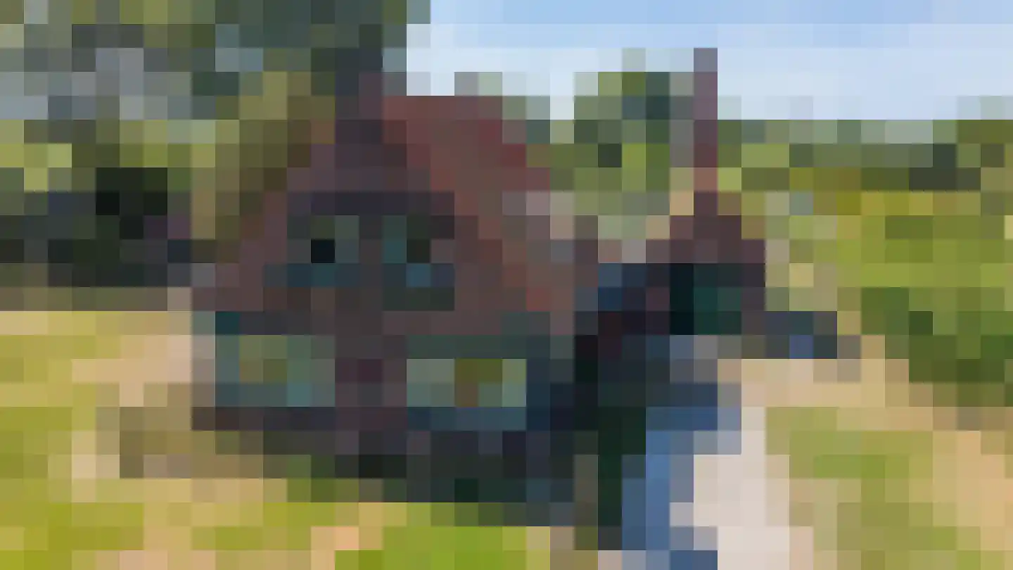 Hoofdstraat 23 Niekerk thumbnail 80