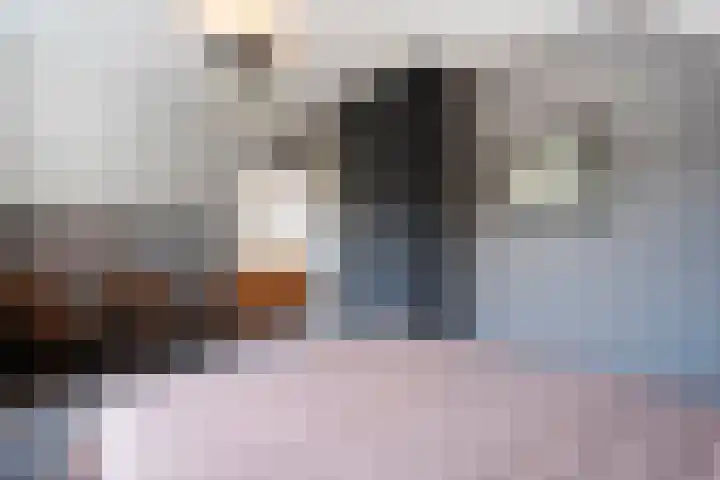 Hoofdstraat 23 Zuidwolde thumbnail 33