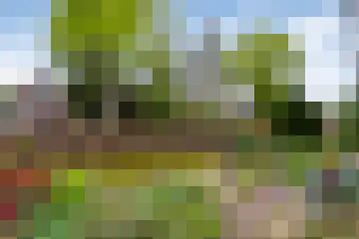 Hoofdstraat 23 Zuidwolde thumbnail 48