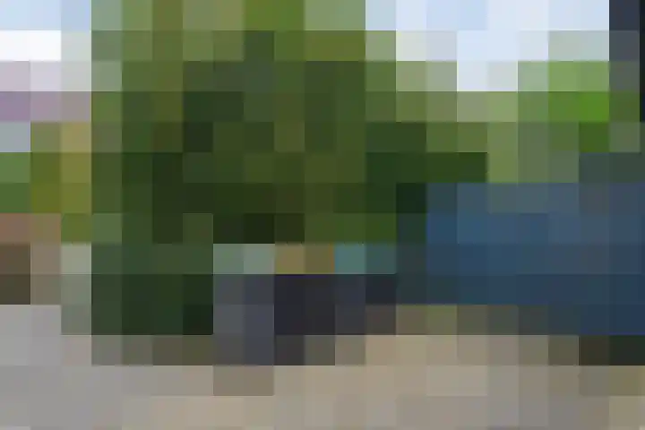 Hoofdstraat 23 Zuidwolde thumbnail 51