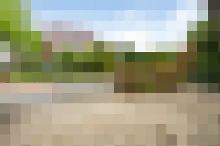 Hoofdstraat 23 Zuidwolde thumbnail 6