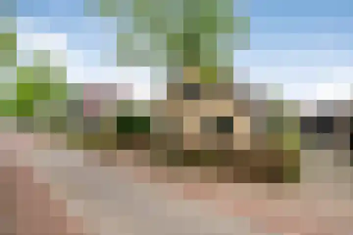 Hoofdstraat 23 Zuidwolde thumbnail 7
