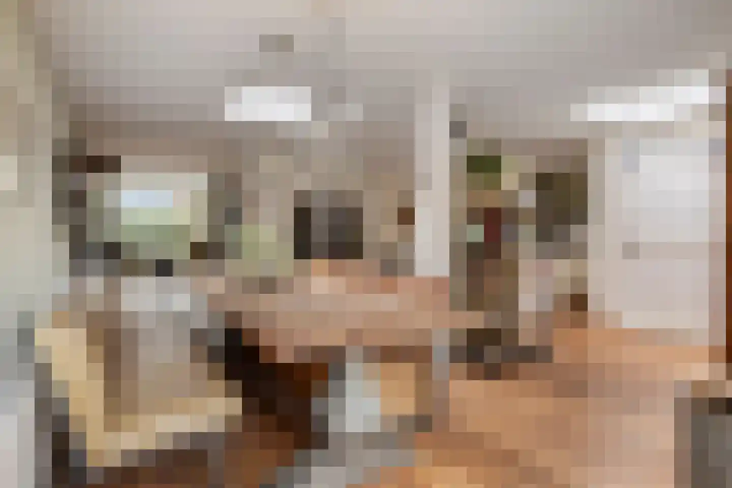 Hoofdstraat 233 A Overdinkel thumbnail 16