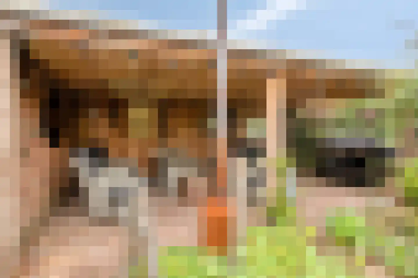 Hoofdstraat 233 A Overdinkel thumbnail 37