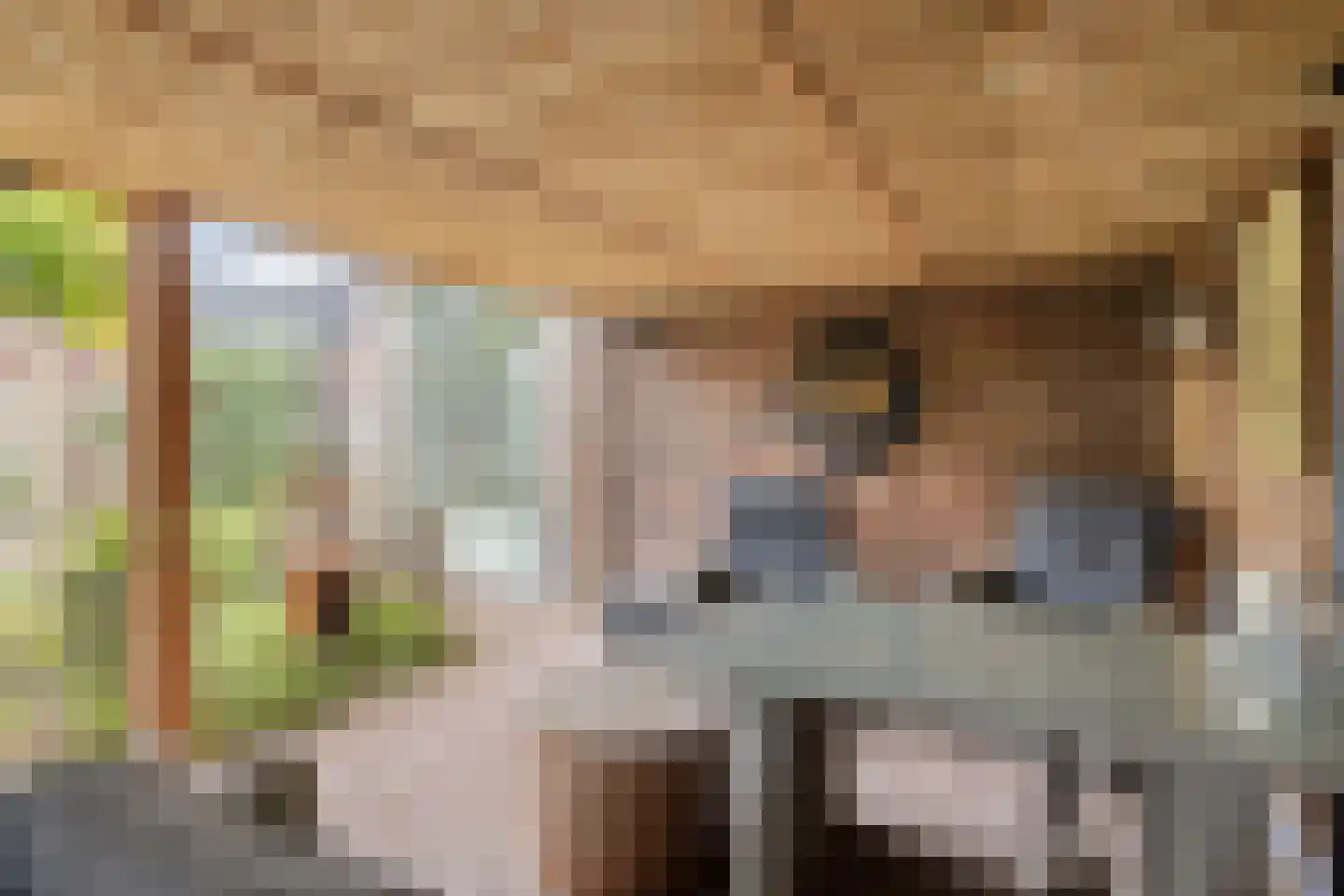 Hoofdstraat 233 A Overdinkel thumbnail 38