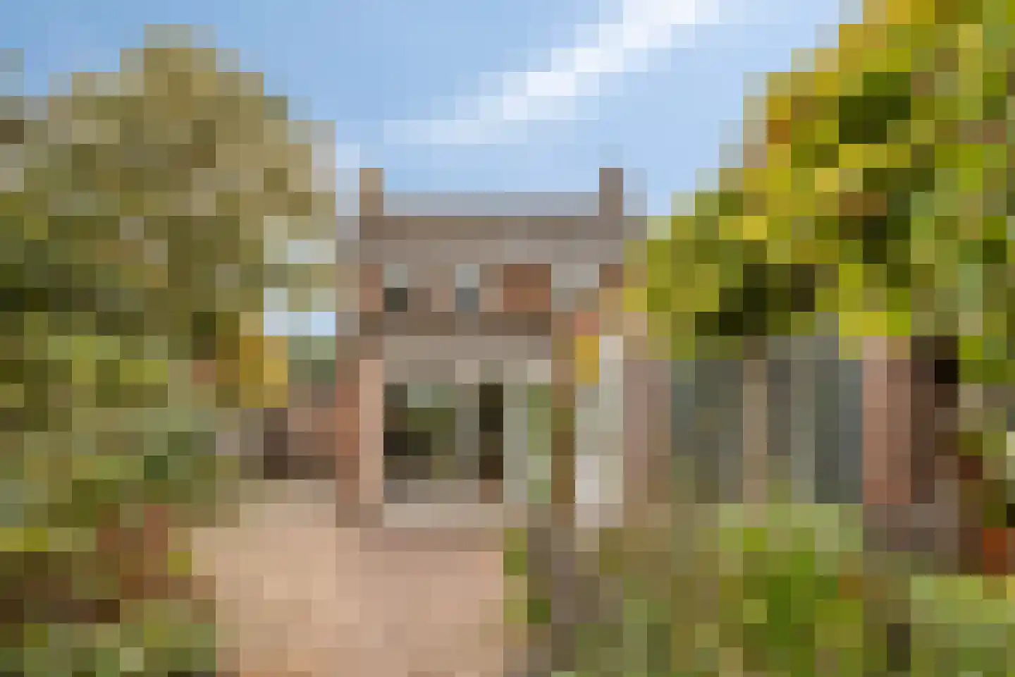 Hoofdstraat 233 A Overdinkel thumbnail 45