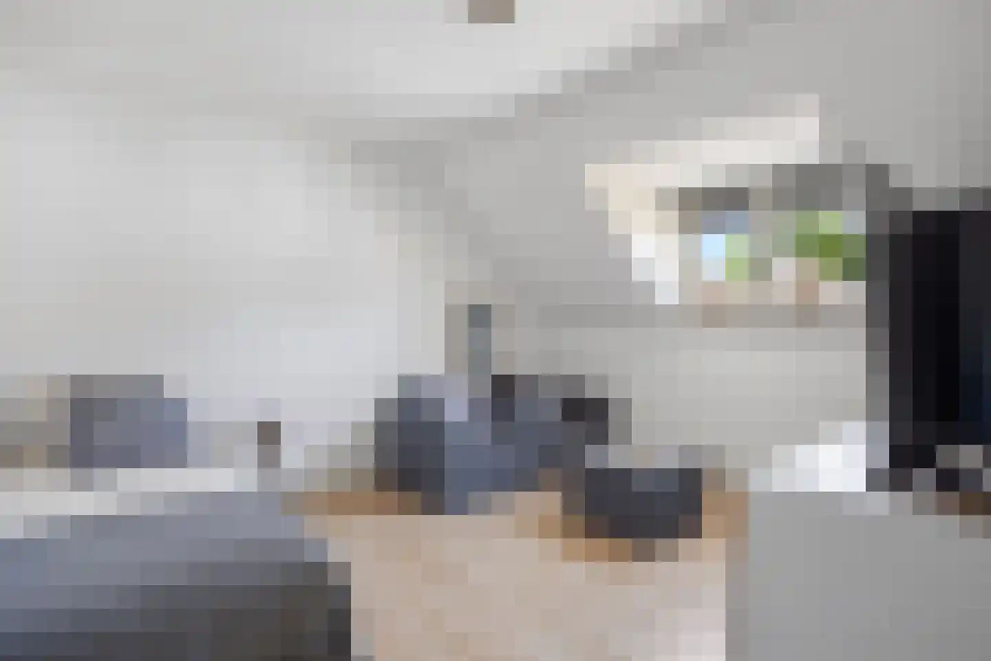 Hoofdstraat 24 Schijndel thumbnail 31