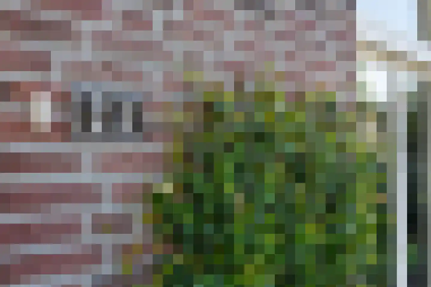 Hoofdstraat 24 Schijndel thumbnail 6