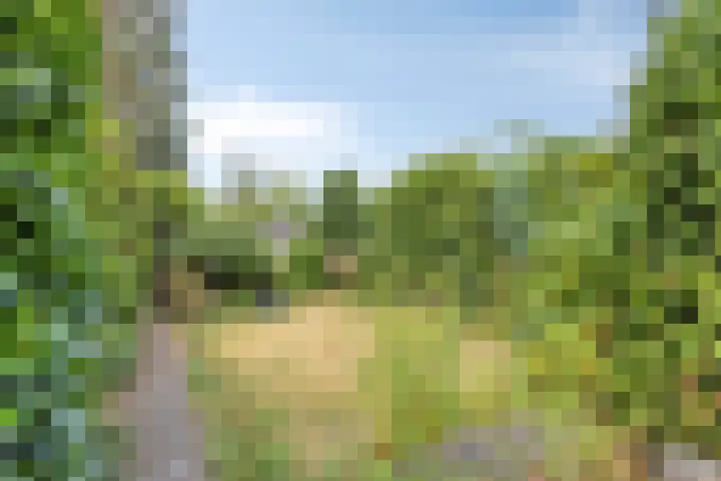 Hoofdstraat 24 Terheijden thumbnail 32