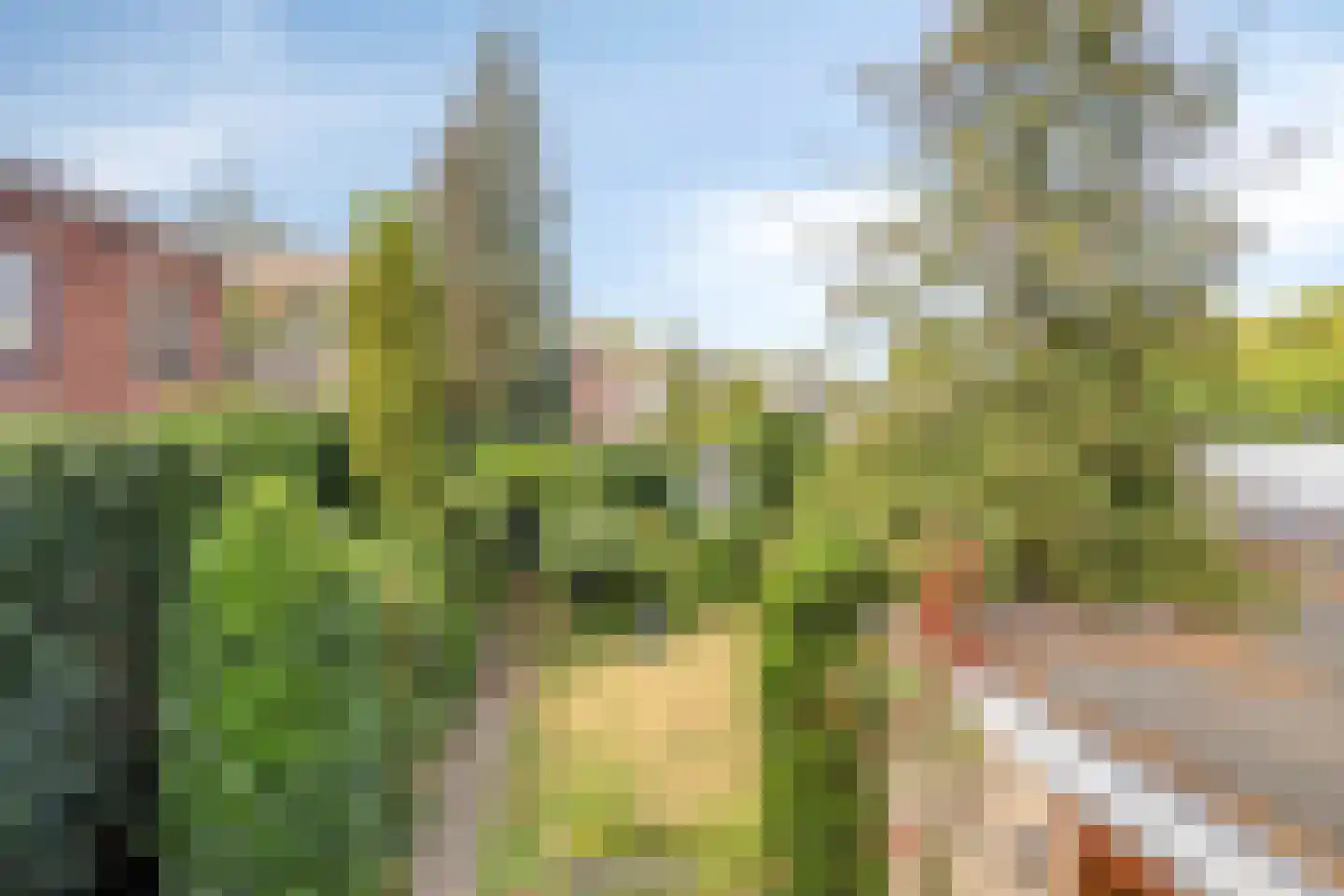 Hoofdstraat 24 Terheijden thumbnail 36