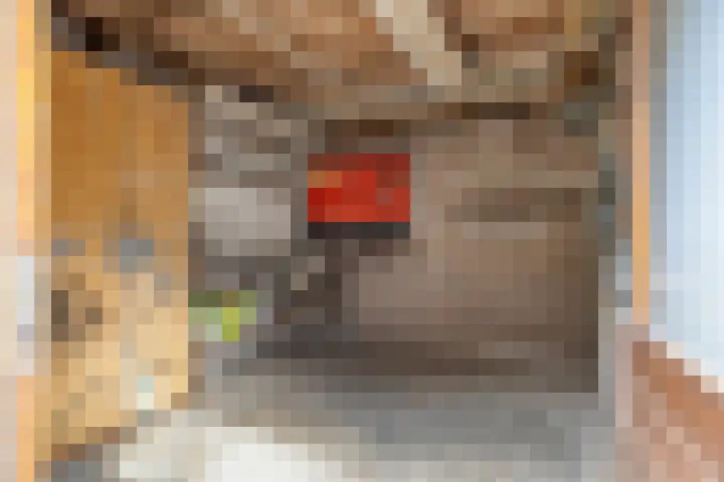 Hoofdstraat 24 Terheijden thumbnail 39